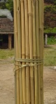Dry bamboo pole